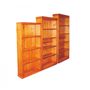 Lisi Wood (17)